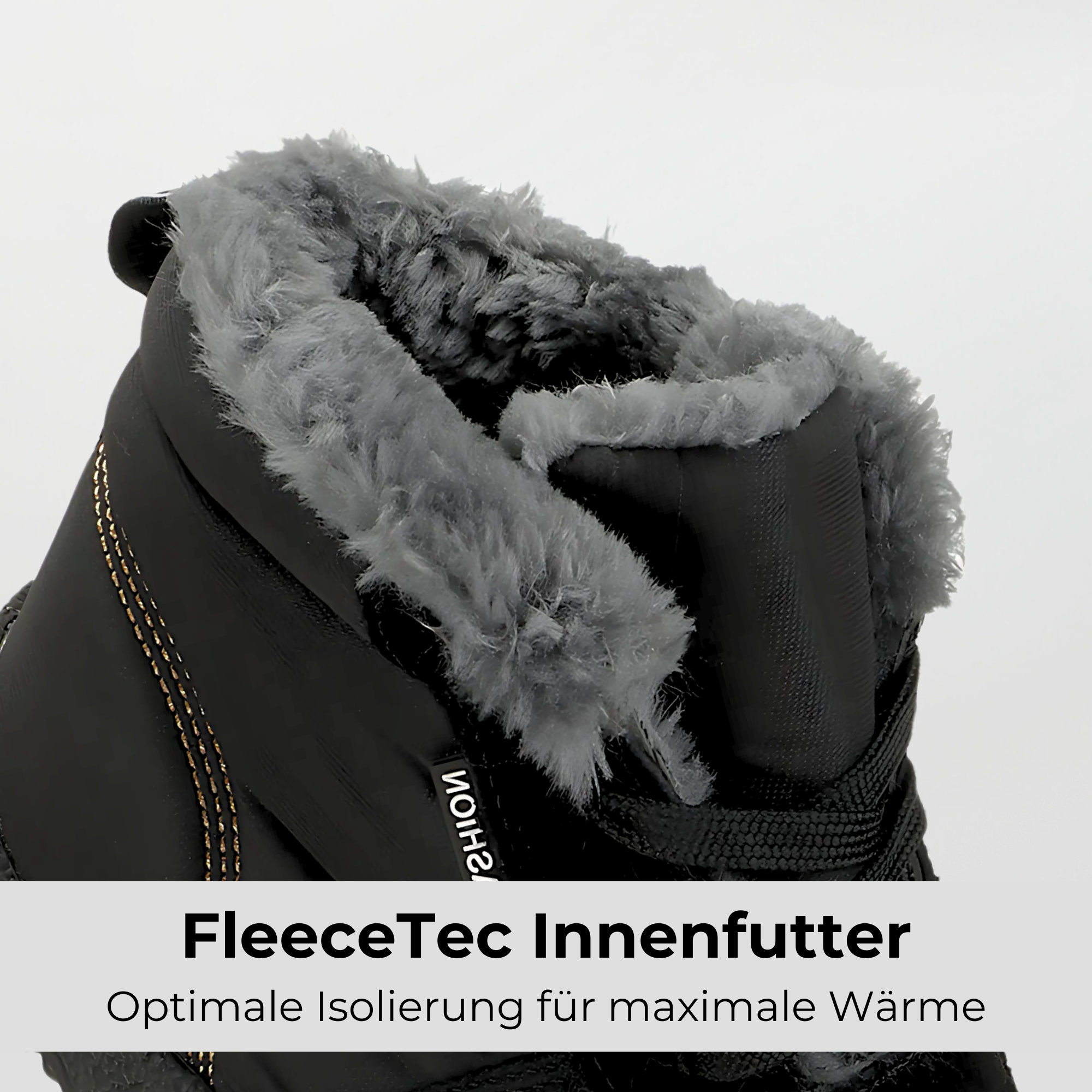 Winter Pro 2.0