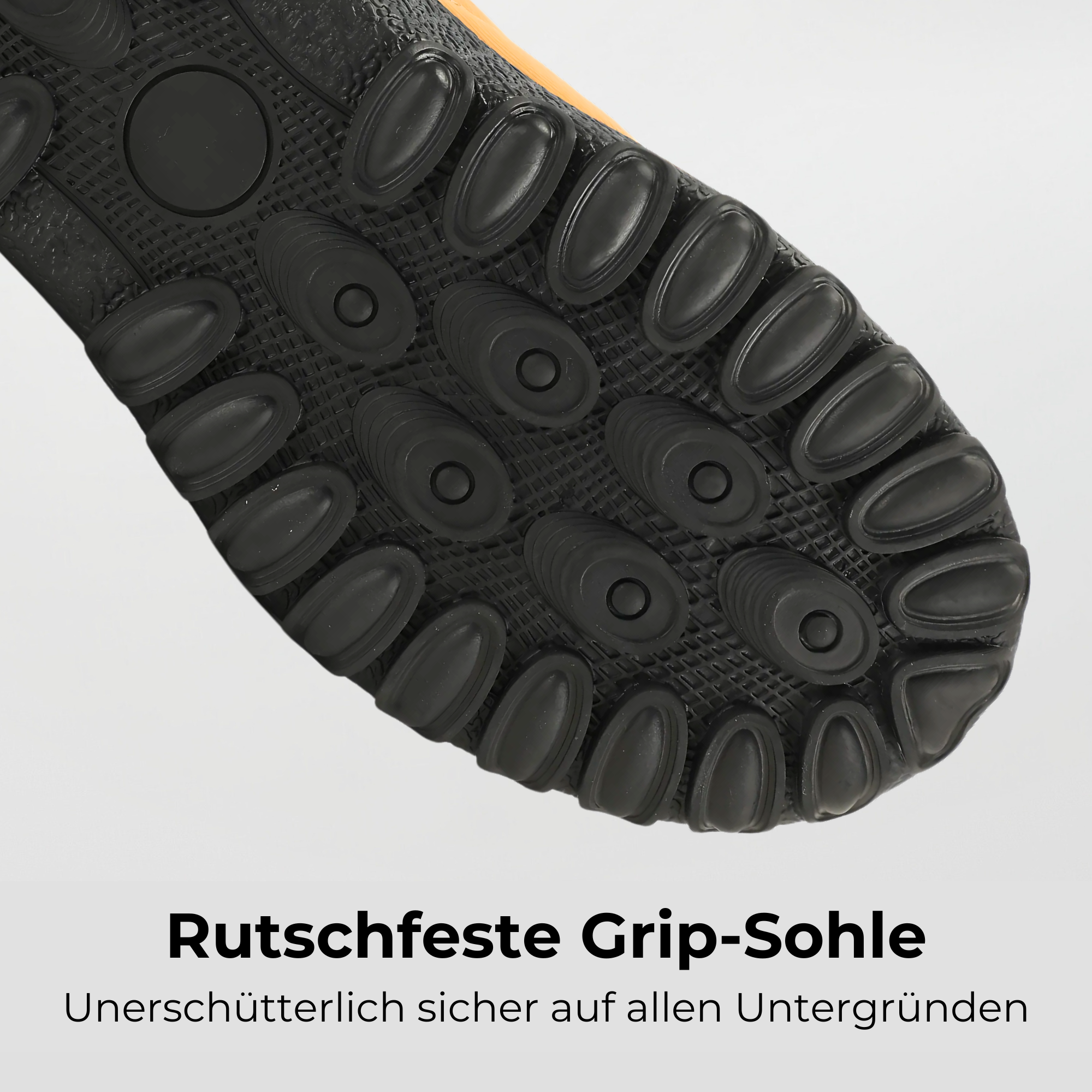 Winter Pro 2.0