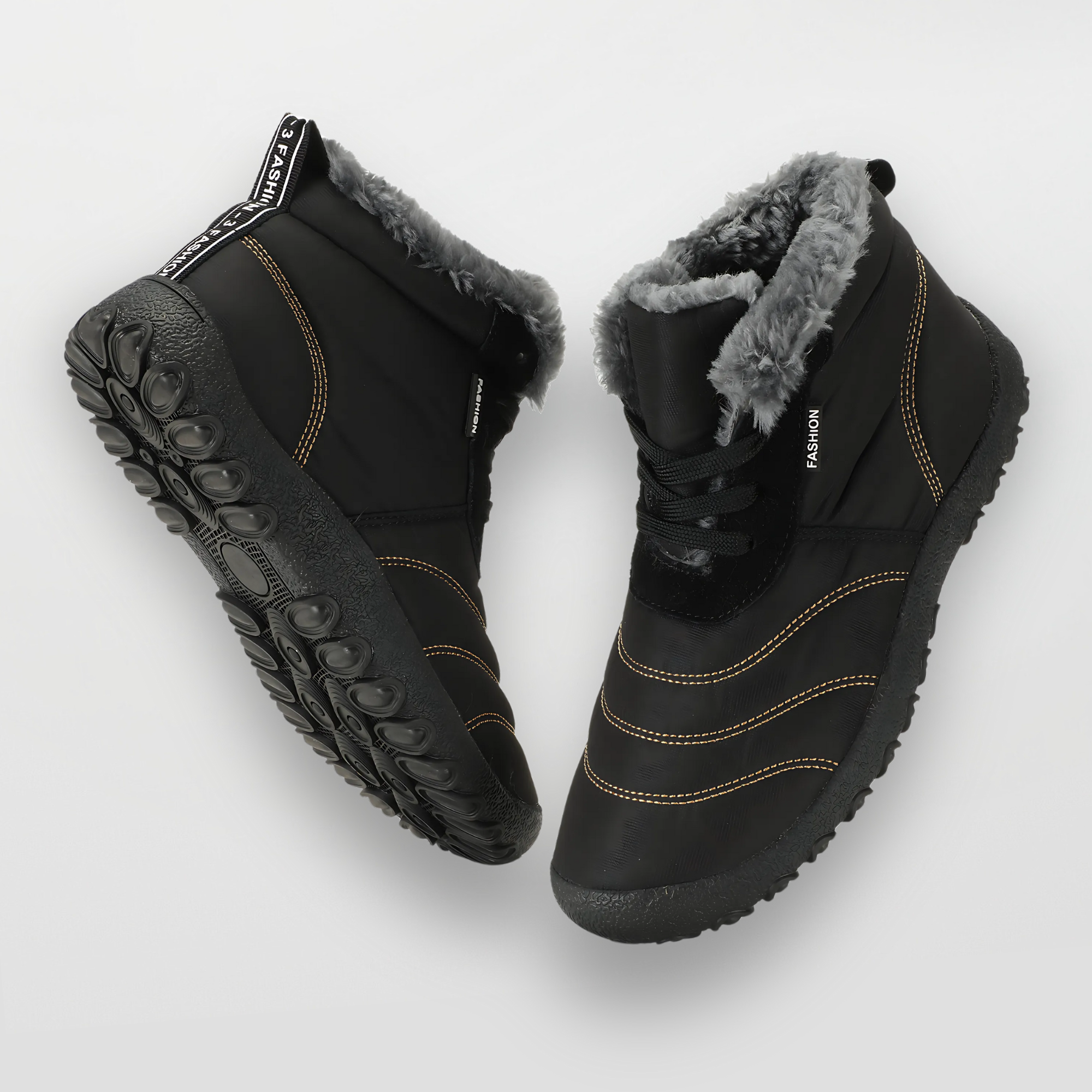 Winter Pro 2.0