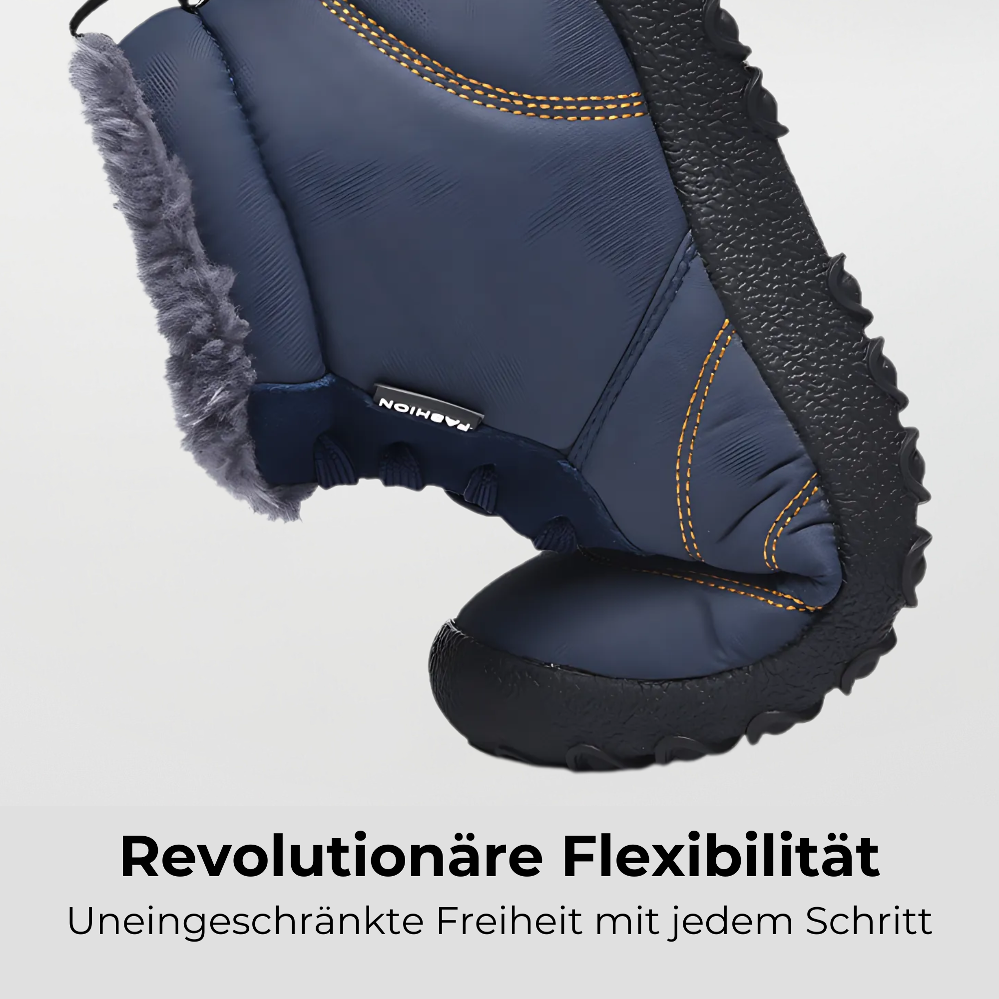Winter Pro 2.0